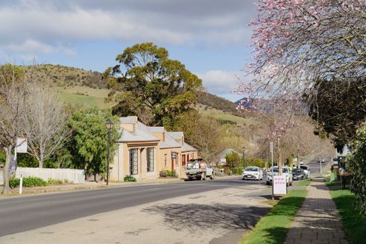 Charming street scene in Richmond, TAS, with heritage buildings and blossoming trees.