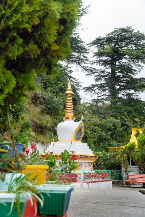 Free stock photo of buddhist, colourful, destination Stock Photo
