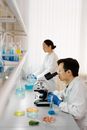 Free stock photo of biochemistry, biology, chemical