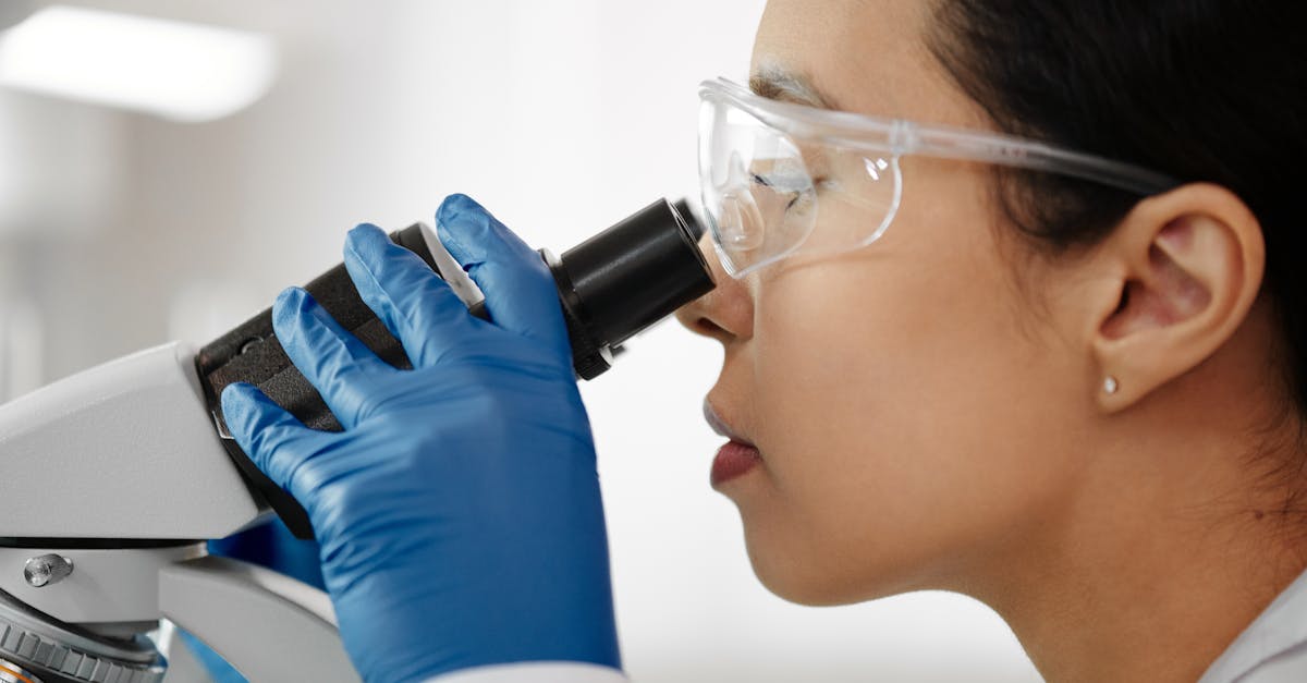 What does biological magnification mean in biology