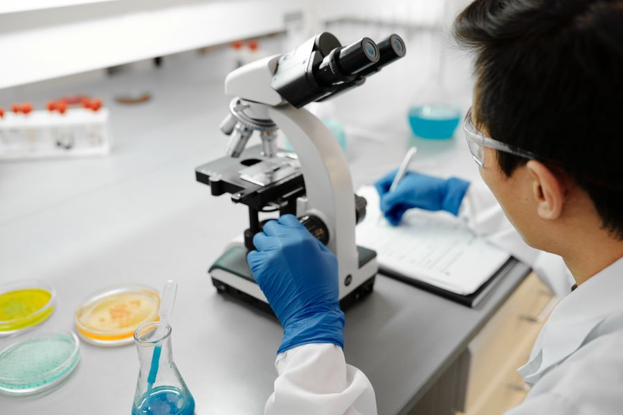 Organiza programas intensivos internacionales de formación