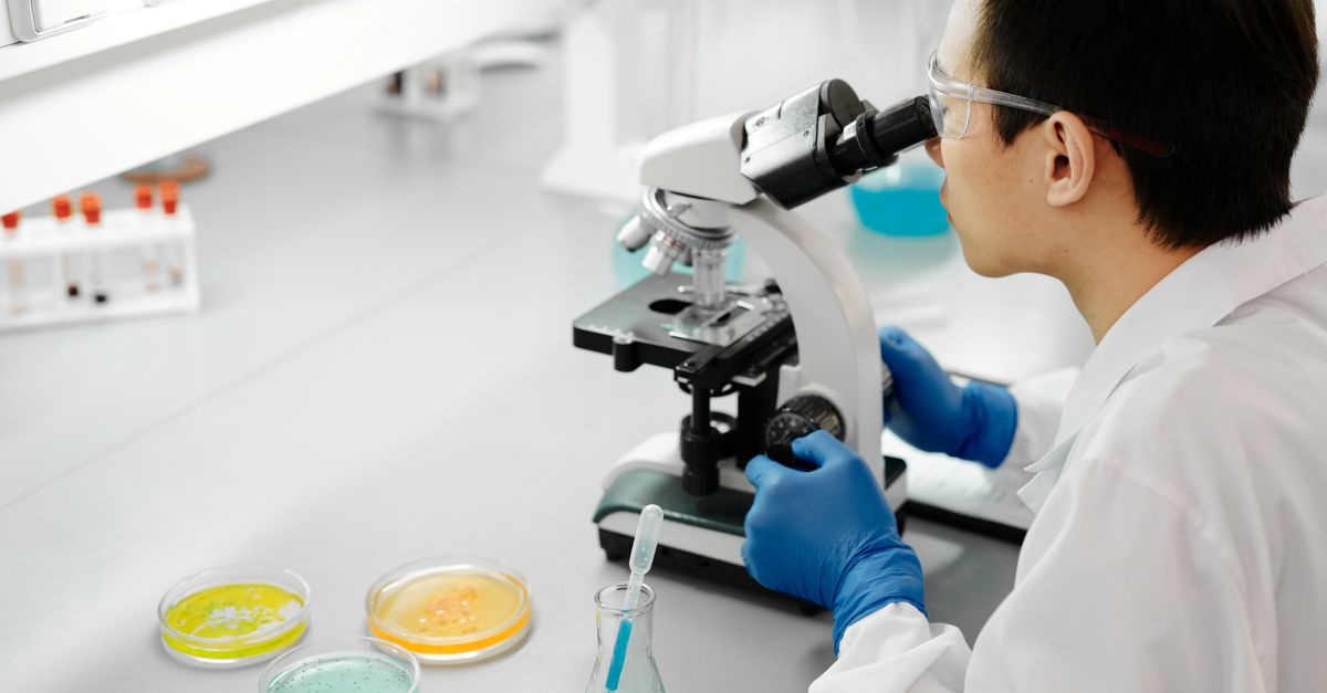 Scientist in laboratory examining samples with a microscope, surrounded by colorful petri dishes. - Evidence evidence guide for prebiotic constipation meta-analysis