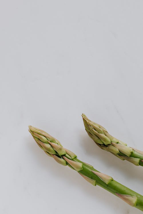 Ends of fresh ripe green asparagus