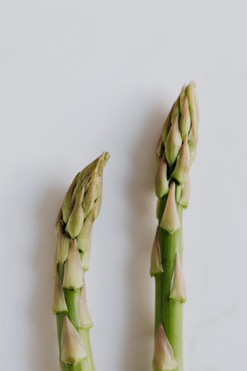 Two Stalks Of Asparagus In Close-up View