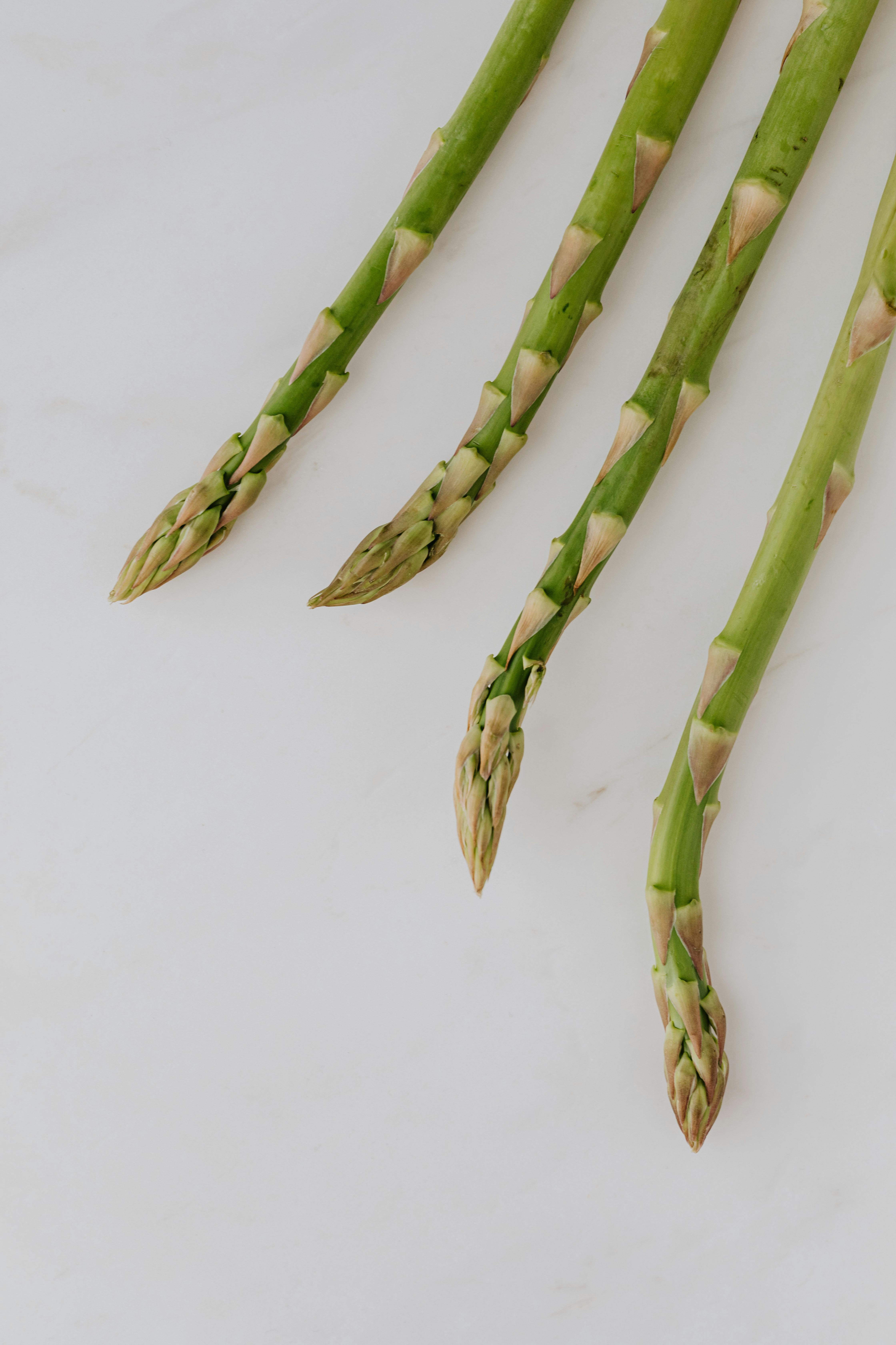 Four Stalks Of Asparagus · Free Stock Photo