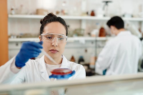 A Woman Experimenting in the Laboratory