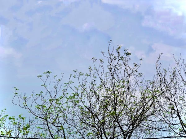 [Image of 一個孩子膝蓋上的OK繃]