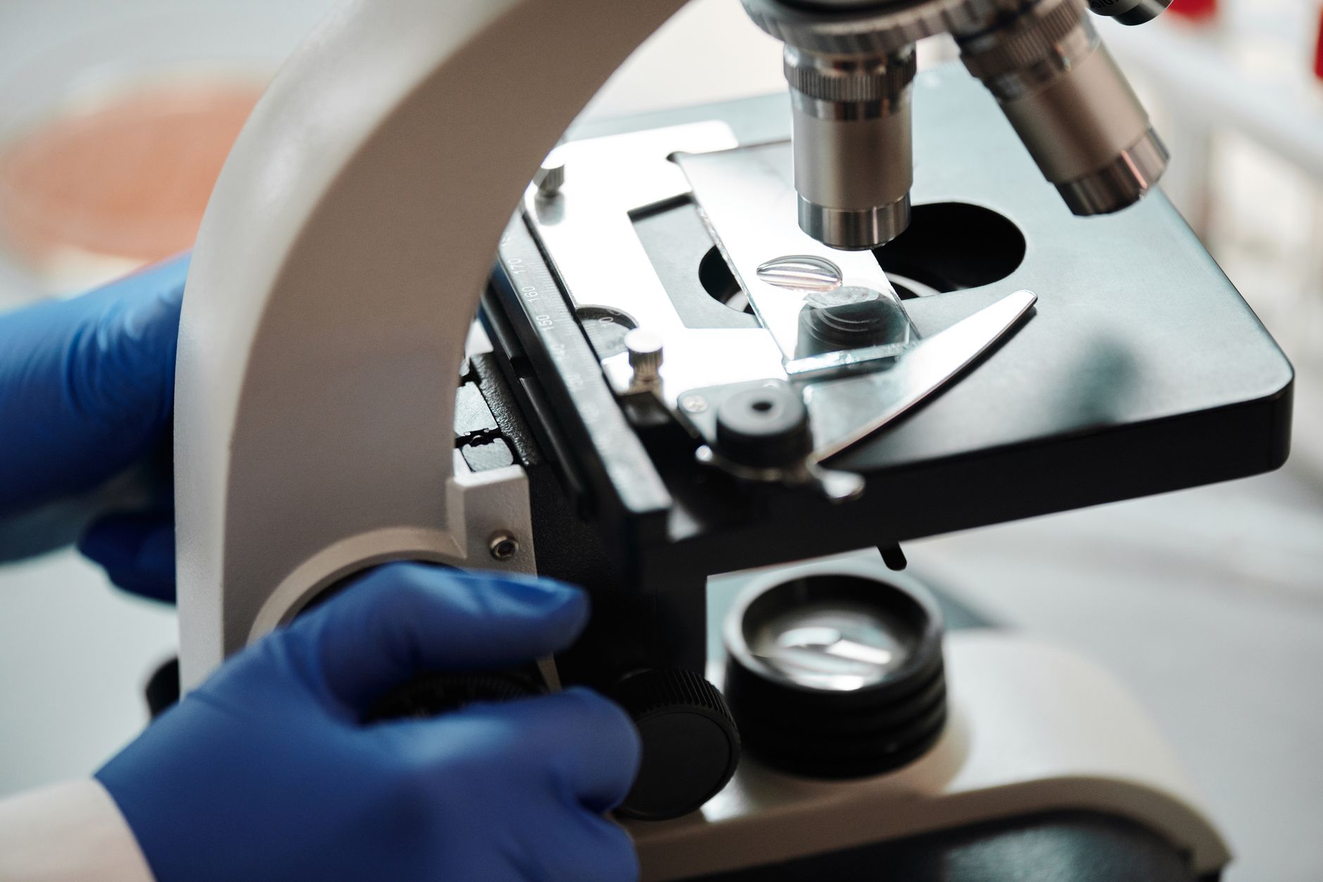 Close-up of hands adjusting a microscope in a laboratory setting with a glass slide.
