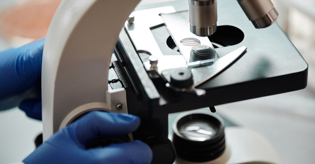 The Impact of Policy on the Pharmaceutical Export Market