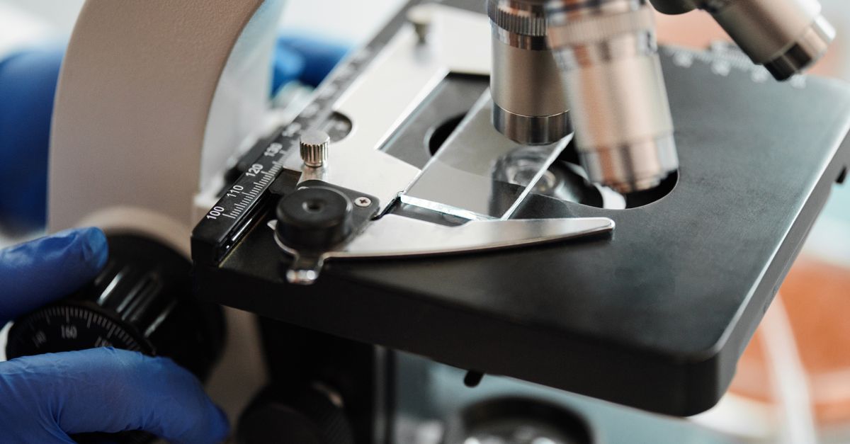 How stock market performance is influencing pharma investor confidence
