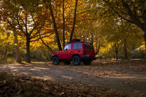 Free A red jeep parked in a serene autumn forest surrounded by golden leaves. Stock Photo