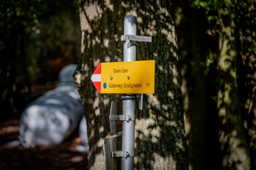Free Close-up of a hiking trail sign leading to Grein in the woods of Oberösterreich, Austria. Stock Photo