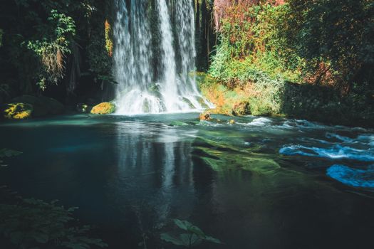 Peaceful scene of a waterfall cascading into a serene forest pool, surrounded by lush foliage.