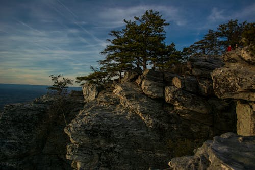 Imagine de stoc gratuită din apus de soare, arbori, clift