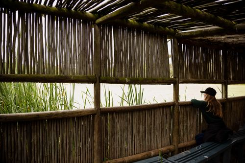Free A woman sits in a rustic wooden bird hide, observing the serene lake and reeds. Stock Photo