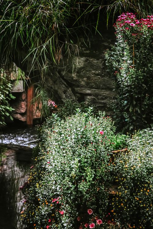 Free A tranquil garden scene featuring vibrant plants and cascading water. Stock Photo