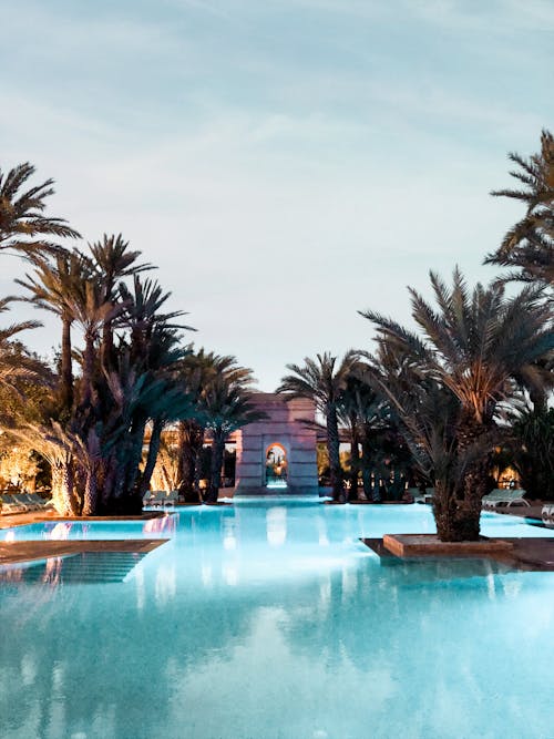 Photo Of Palm Trees On Swimming Pool 