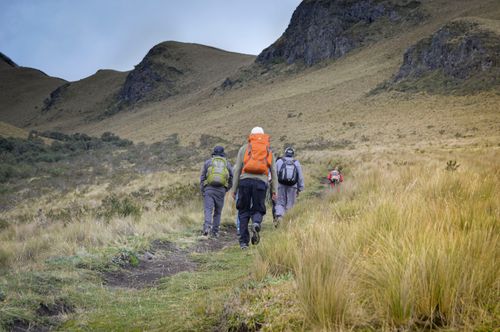 Free A group of hikers trekking through scenic mountain landscapes, enjoying nature. Stock Photo