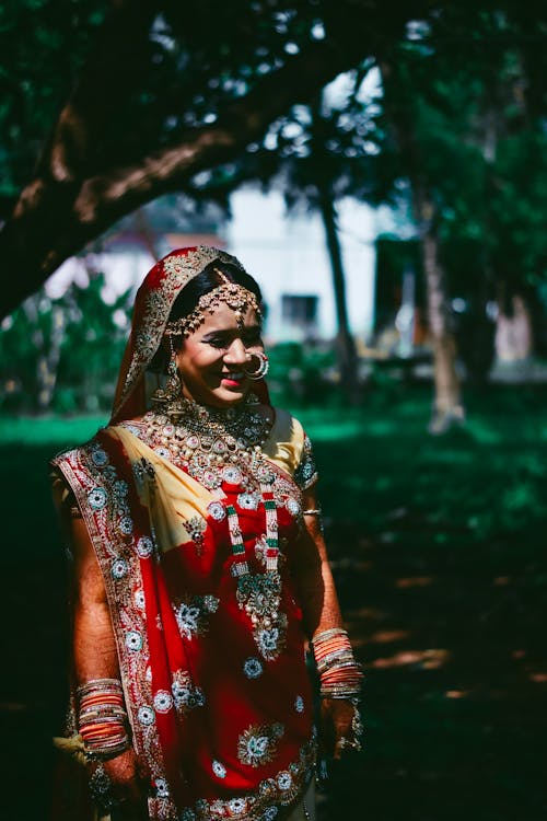 Free Photo Of Woman Wearing Sari Dress Stock Photo