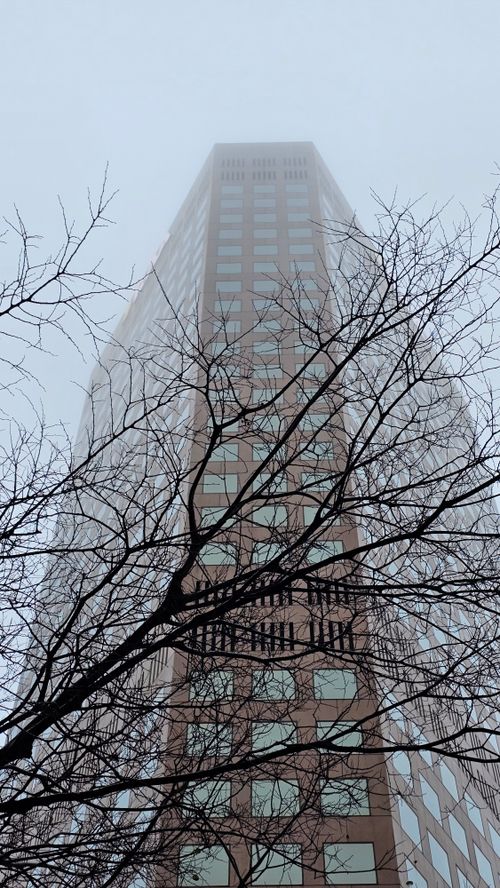 Free A captivating view of a skyscraper shrouded in fog, seen through bare tree branches. Stock Photo