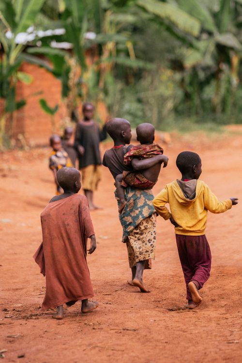 Free A group of children walking along a dirt road in a rural village scene with banana plants. Stock Photo