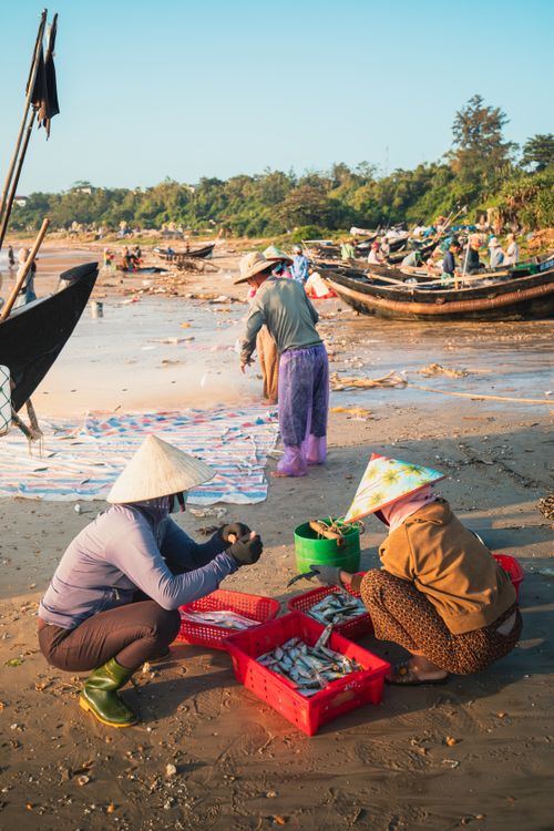Free Women sorting freshly caught fish on a Vietnamese beach at sunrise. Stock Photo