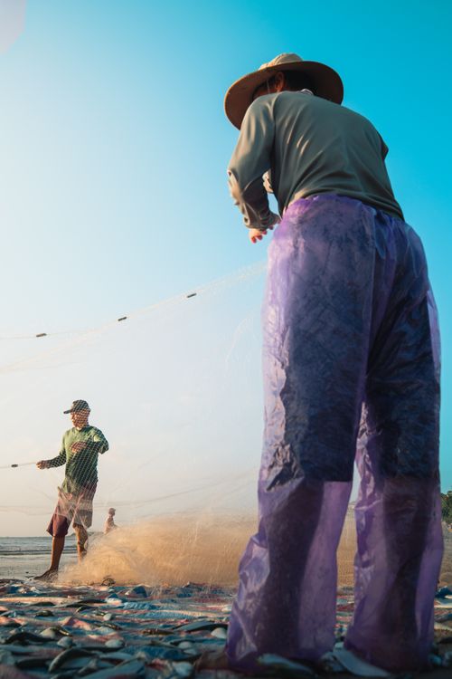 Free Fishermen working with nets at Cửa Tùng beach, capturing the essence of traditional fishing. Stock Photo
