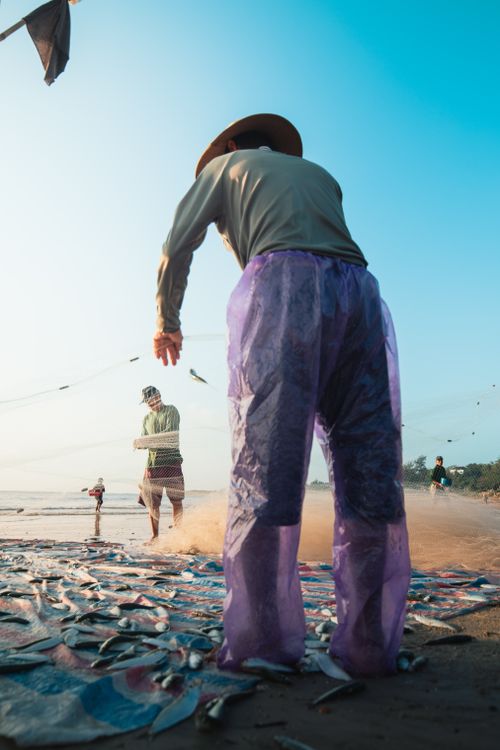 Free Fishermen working on Cửa Tùng beach, capturing daily life and traditional fishing practices in Vietnam. Stock Photo
