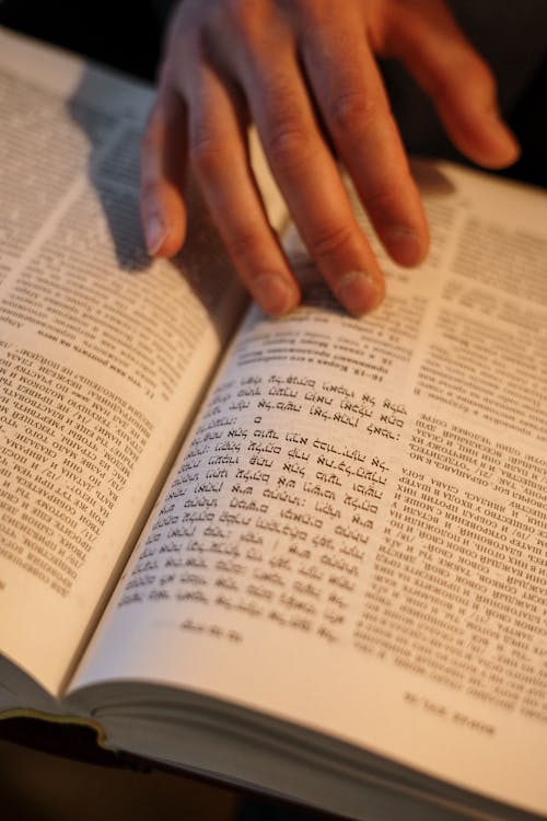 Δωρεάν στοκ φωτογραφιών με shabbat, torah, ανάγνωση