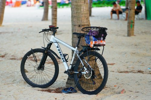 Free A bicycle against a palm tree on sandy beach in Da Nang, Vietnam. Stock Photo