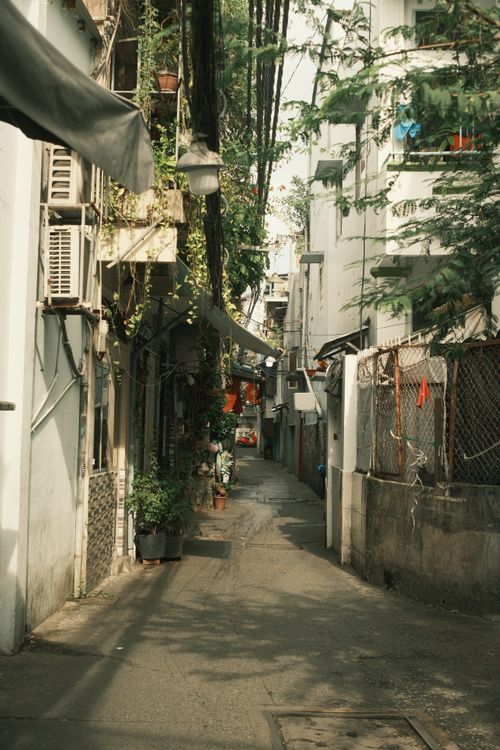 Free A quiet urban alleyway adorned with greenery and vibrant laundry, capturing everyday city life. Stock Photo
