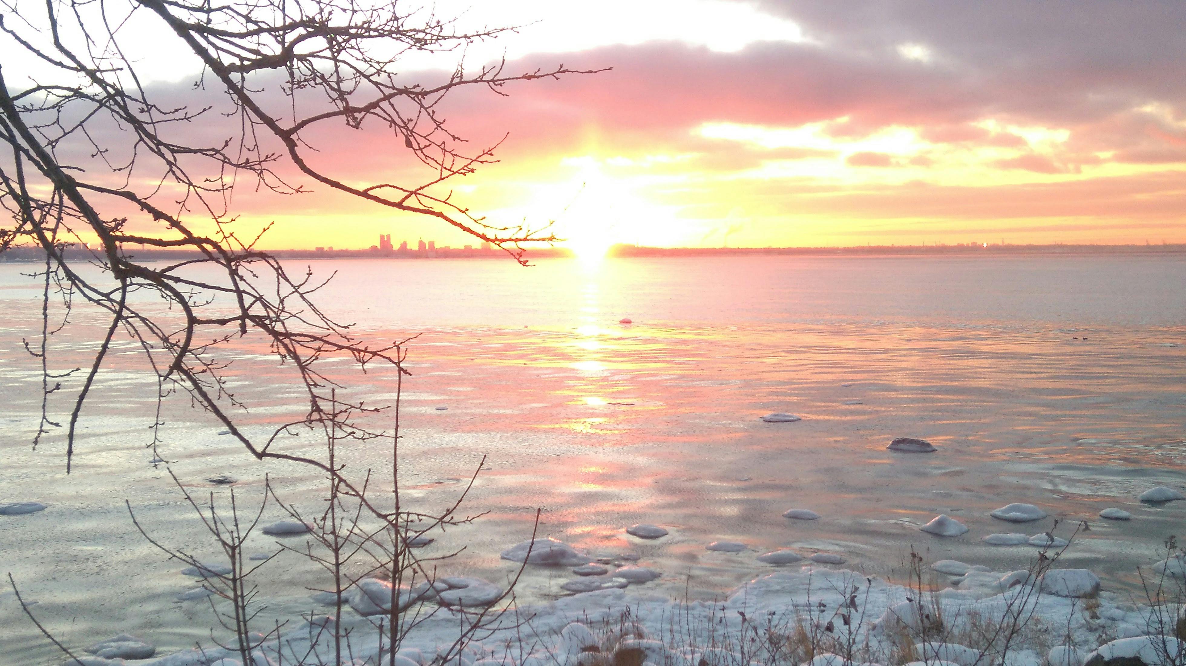 손으로 돈 모양의 나무를 들고 있는 이미지