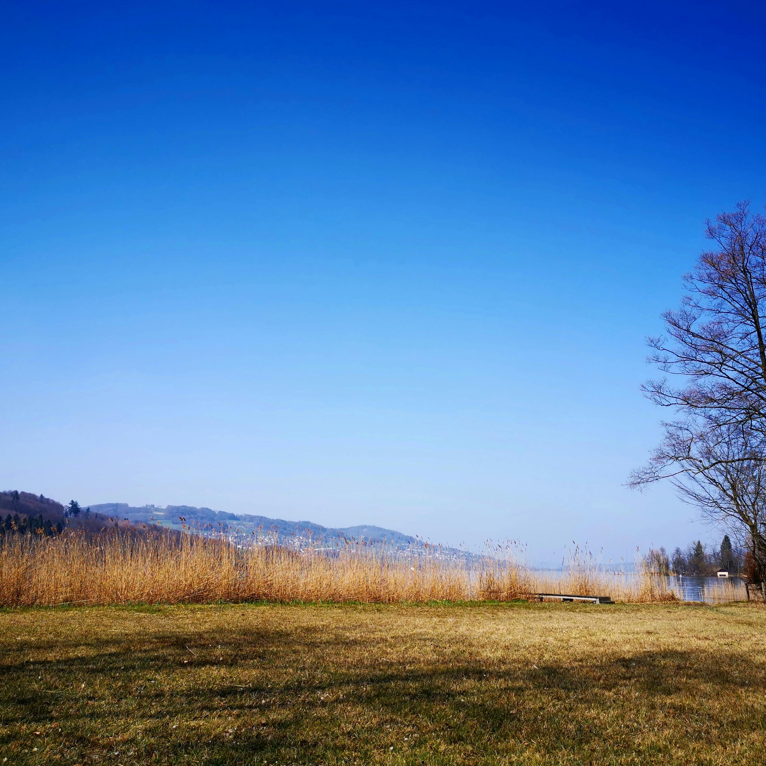 ภาพถ้วยชาเซรามิกที่ดูเรียบง่ายแต่สวยงามตามหลักวะบิ-ซะบิ