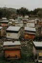 Photograph of Beehives on the Grass