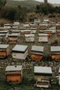 Photograph of Beehives Near Flowers