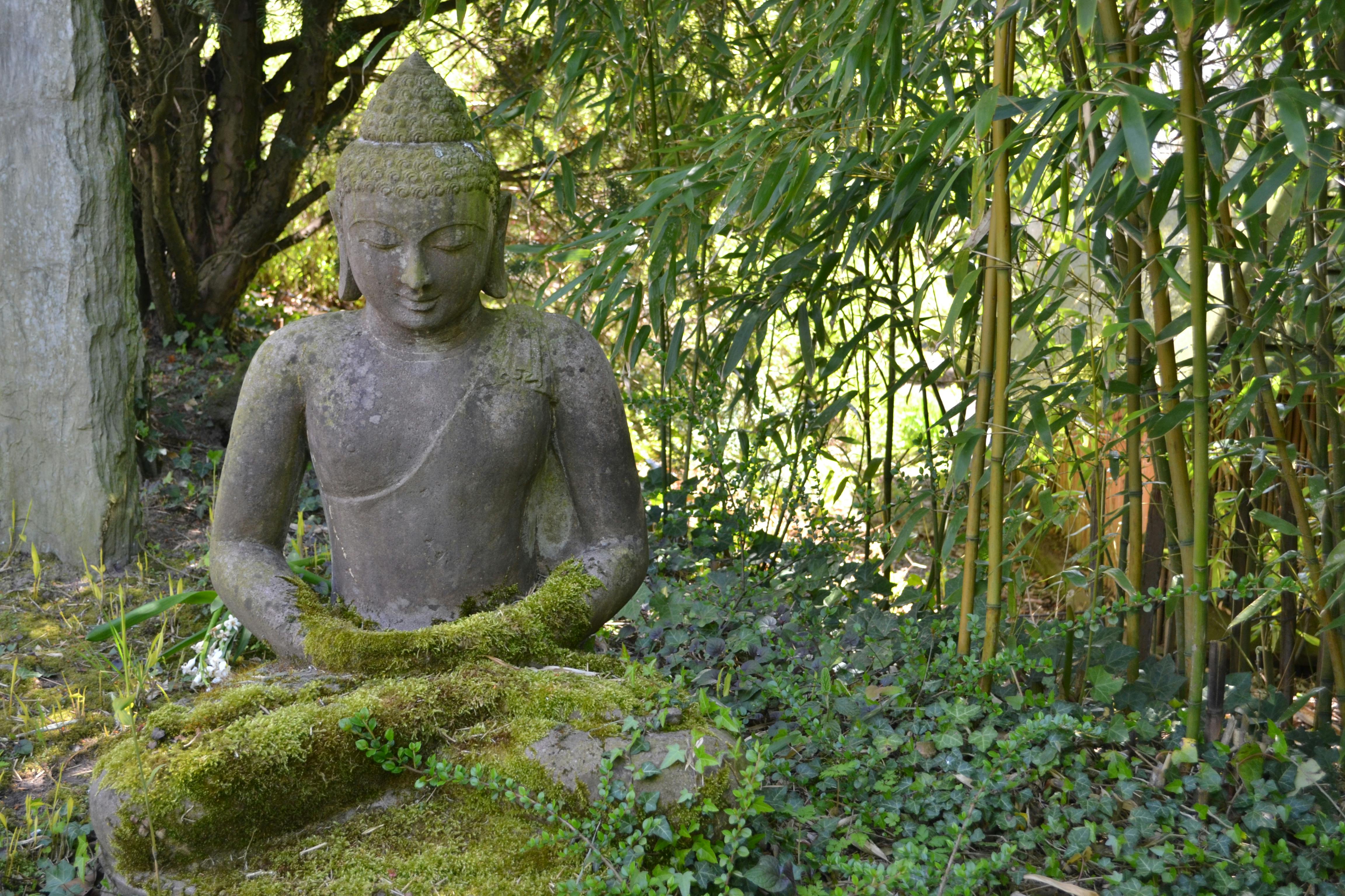 Free stock photo of buddha, green, Mevrouw S