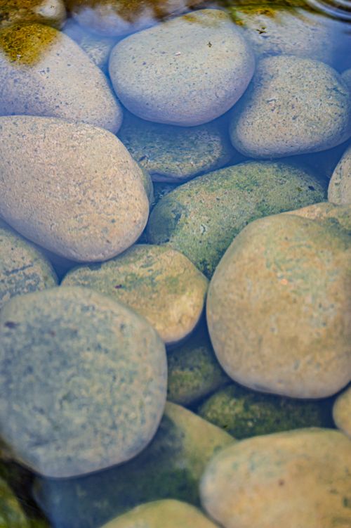 Free Collection of smooth stones under clear water, showcasing natural patterns and textures. Stock Photo