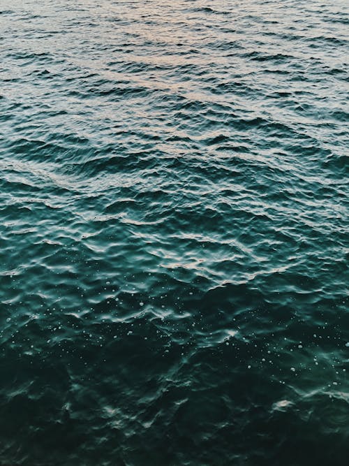 Free Photo Of Body Of Water Stock Photo