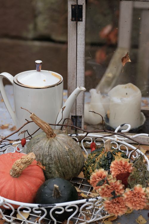 Free Warm autumn setup with pumpkins, a teapot, and a candle in a rustic setting. Stock Photo