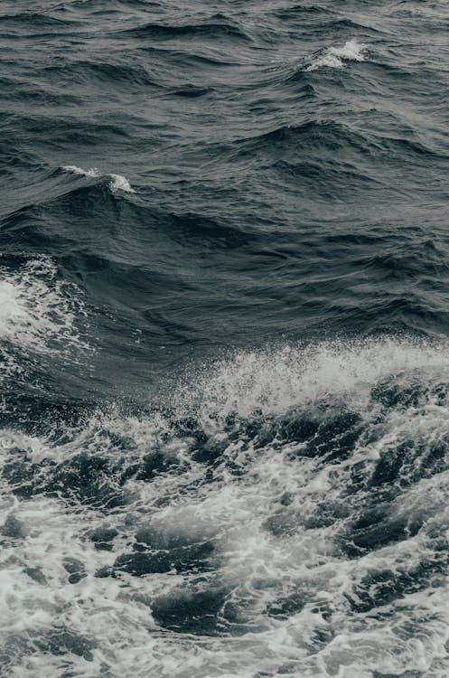 Vagues De L'océan En Photographie En Niveaux De Gris