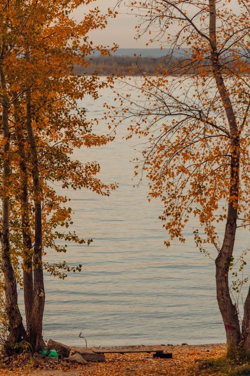 Free Tranquil lakeside view framed by golden autumn trees, capturing nature's peaceful essence. Stock Photo