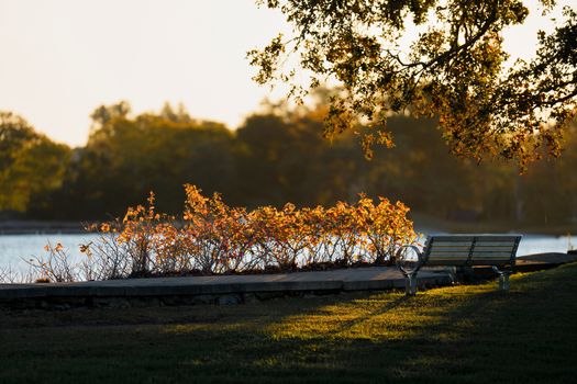 Autumn sunrise over Cove Island Park, Stamford, capturing a tranquil scene with a bench and vibrant foliage.
