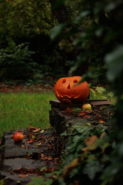 Free A carved jack-o'-lantern sits on a stone pathway amidst fallen leaves, capturing the cozy fall ambiance. Stock Photo