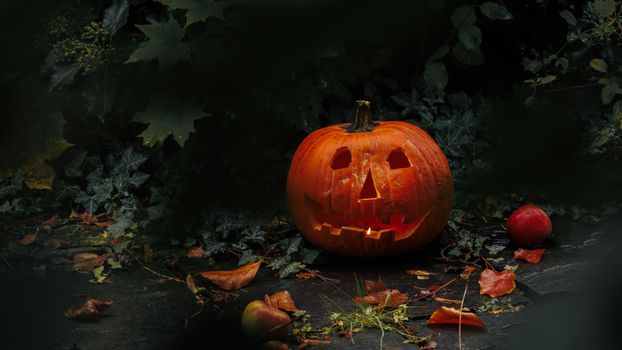A carved pumpkin with a candle illuminates an autumn outdoor scene, perfect for Halloween.