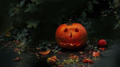 Free A carved pumpkin with a candle illuminates an autumn outdoor scene, perfect for Halloween. Stock Photo