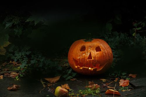 Free A glowing jack-o'-lantern amidst leaves and ivy evokes the eerie autumn season. Stock Photo