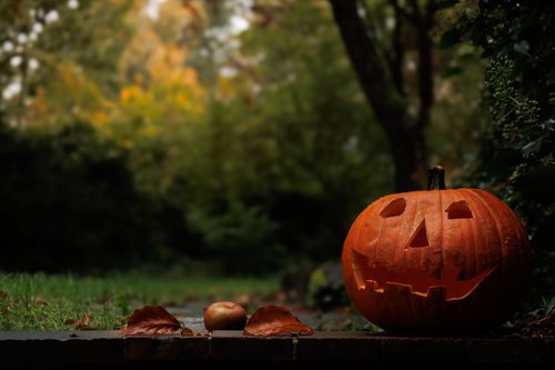Free A carved jack-o'-lantern on a brick wall with autumn leaves in an outdoor garden setting. Stock Photo