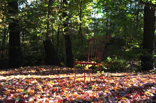 Free stock photo of autumn leaves, chair, fall Stock Photo