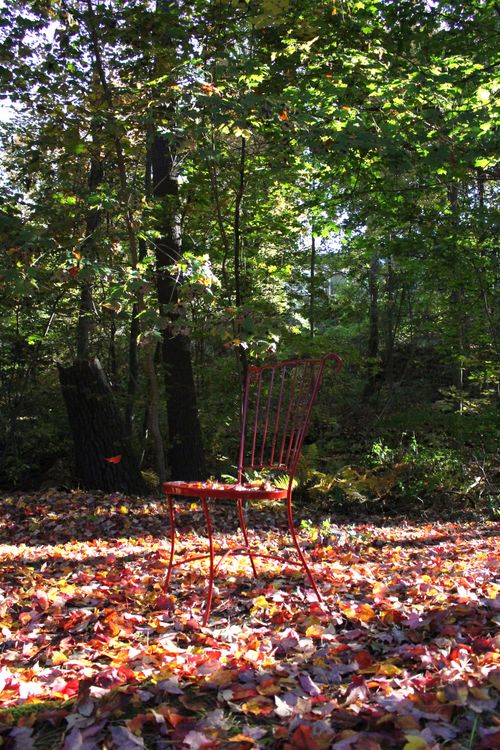 Free stock photo of autumn, backlit leaves, chair Stock Photo