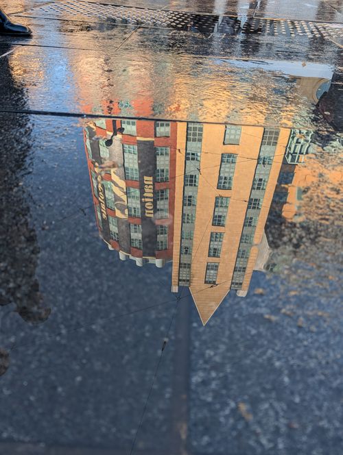 Free Reflected view of a historic building in Antwerp captured in a puddle on a wet street. Stock Photo